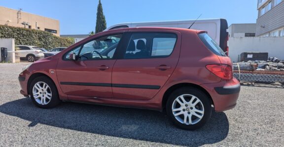 Peugeot 307 1,6L 110CV